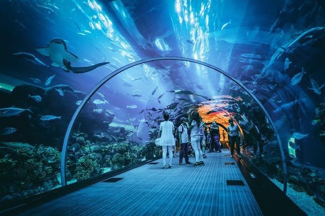 Dubai aquarium and underwater zoo information, bookings, images, videos, map, and more